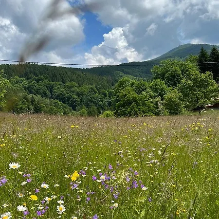 Alpstuga Pod Lysou *