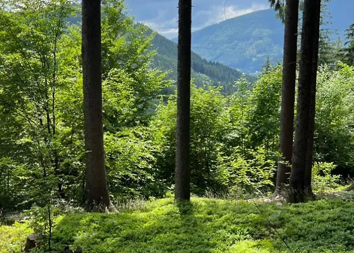 Pod Lysou * Ostravice