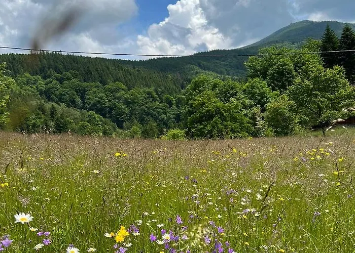 Alpstuga Pod Lysou *