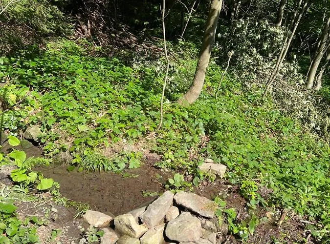 Pod Lysou * Ostravice