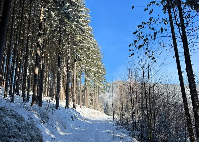 Pod Lysou Horská chata