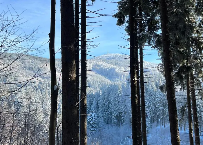 Pod Lysou Alpstuga *